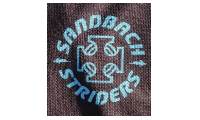 Sandbach Striders